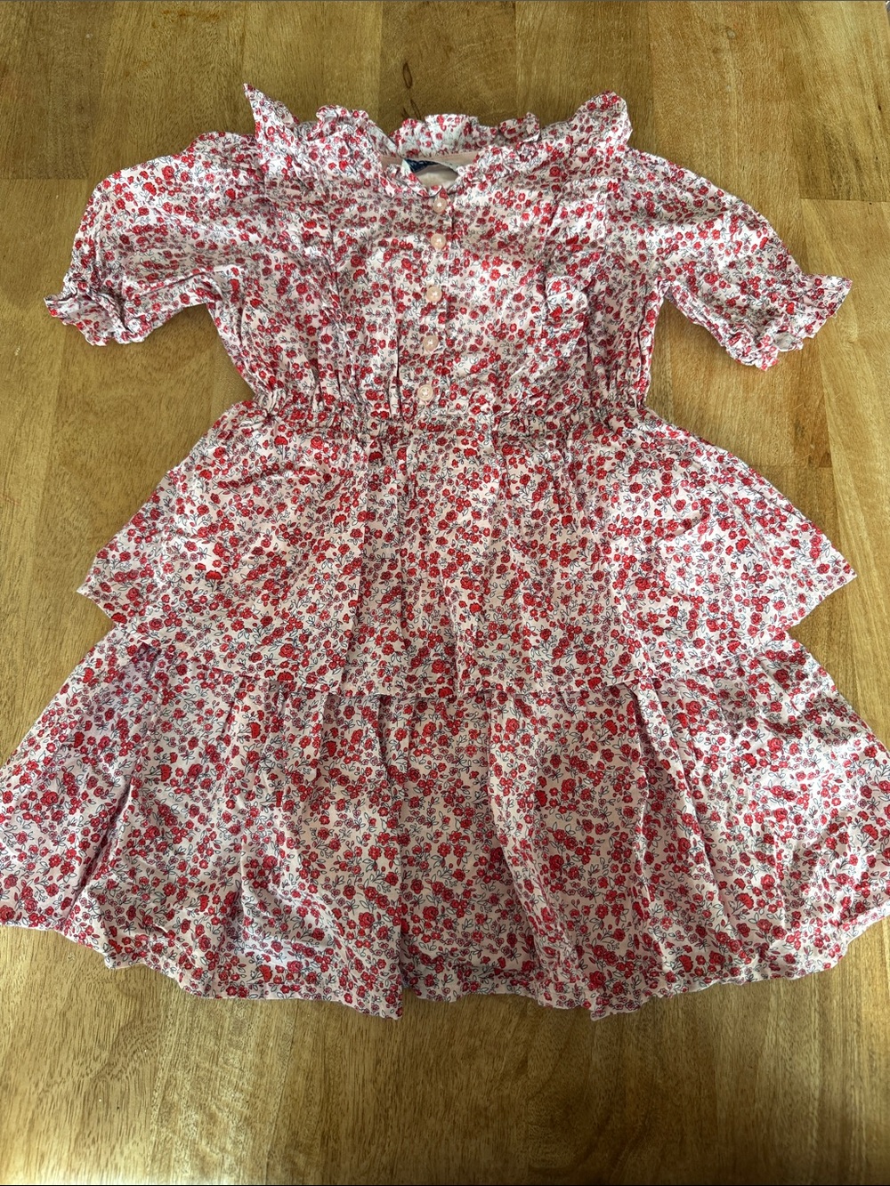 Janie and Jack Pink and Red Floral Tiered Dress